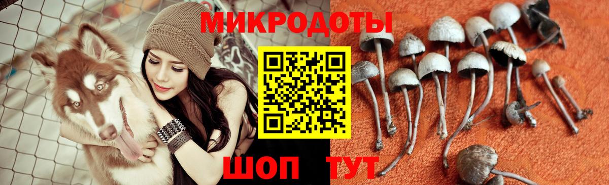 Верхний Уфалей  Псилоцибиновые грибы Cubensis  Вход с VPN 